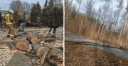 Bytów: Drzewa tarasowały drogi, wiatr zrywał dachy