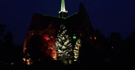 Wrocław. Iluminacje w Ogrodzie Botanicznym aż do Walentynek. Zachwycają mieszkańców