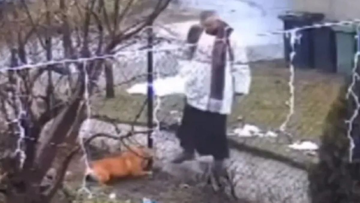 Ksiądz kopał w stronę psa.