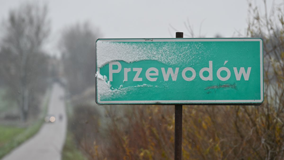 Przewodów