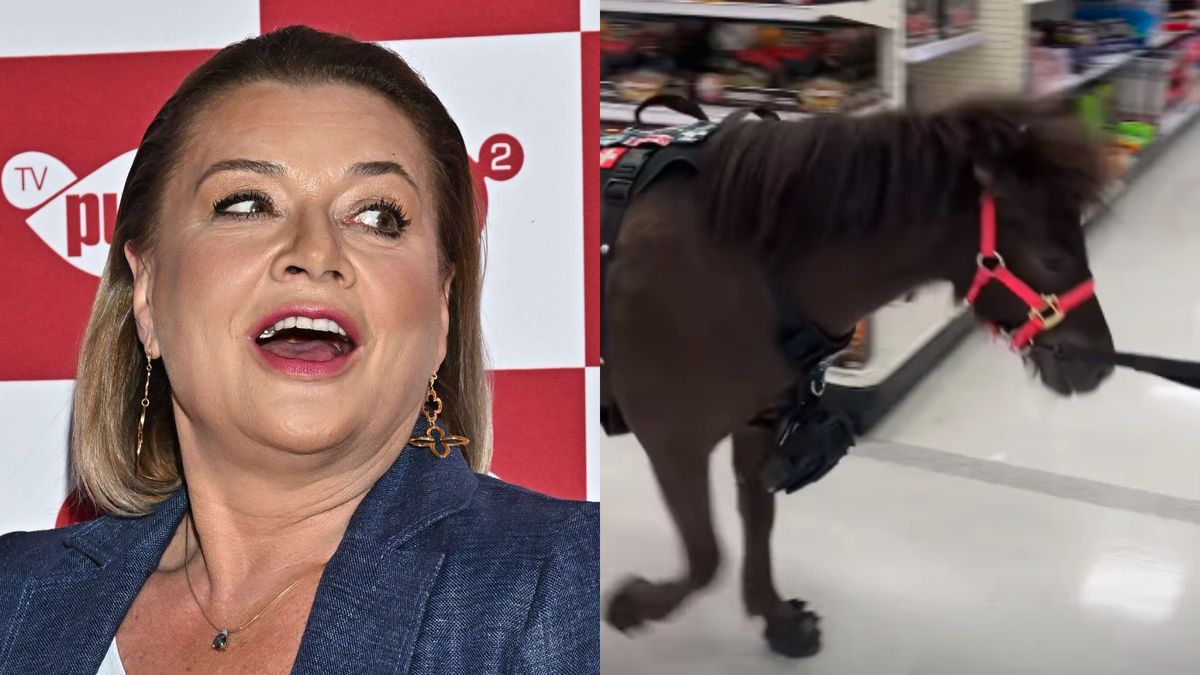 Małgorzata Ostrowska-Królikowska widziała kuca w markecie