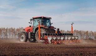 Ukraina próbuje wznowić eksport zboża. Sytuacja jest bardzo trudna