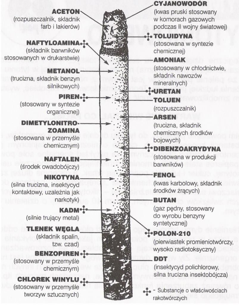 31 maja — dzień bez papierosa