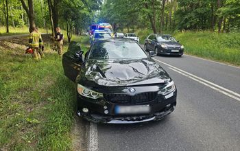 Wypadek w Gorzowie. Drzewo spadło na jadące BMW