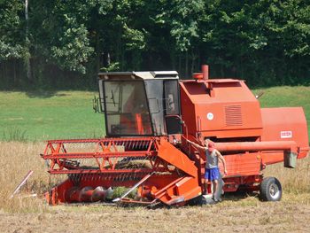 Kultowy Bizon ma niemal pół wieku i nadal dzielnie zbiera zboże z pól