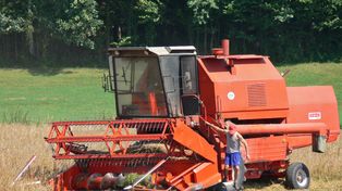 Kultowy Bizon ma niemal pół wieku i nadal dzielnie zbiera zboże z pól