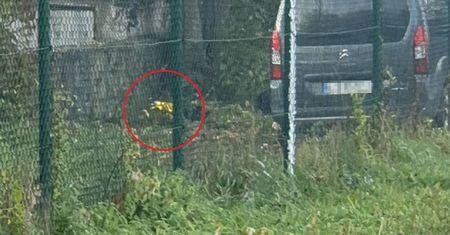 Lublin: Powiesił się za budynkiem szkoły. Są wstępne wyniki sekcji zwłok