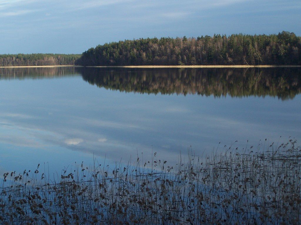 Wędkarz zgubił w wodzie haczyki. Chciał je znaleźć, wyłowił granat