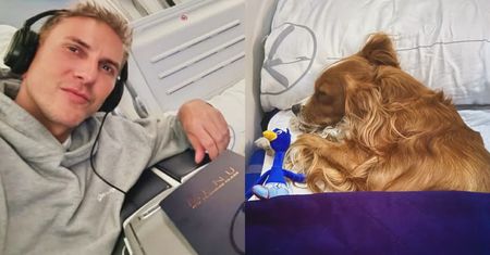U Krzysztofa Gojdzia po staremu: wyfrunął biznes-klasą do Nowego Jorku. Jego pies otrzymał OSOBNE siedzenie (FOTO)