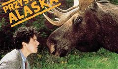 Wraca serial "Przystanek Alaska". Rob Morrow znów jako dr Joel Fleischman