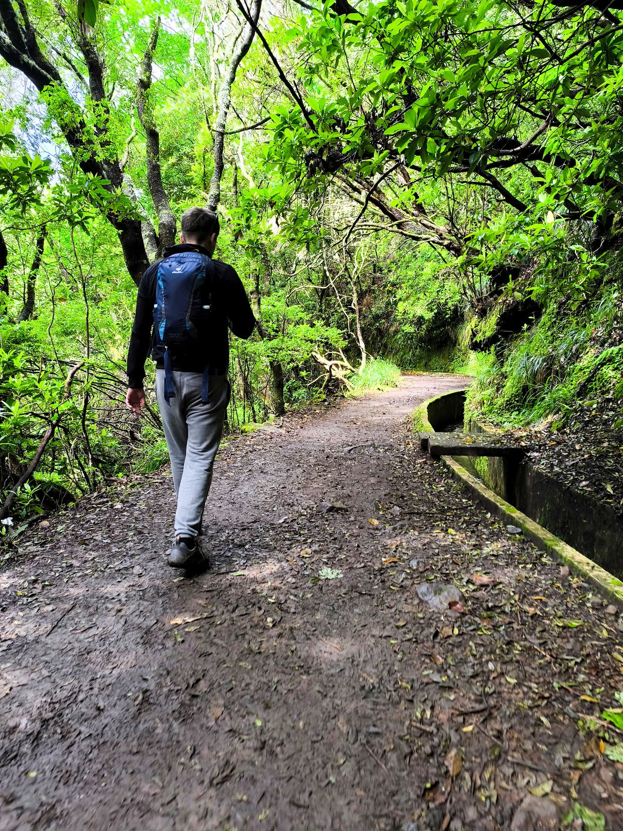 Levada do Furado, Madera