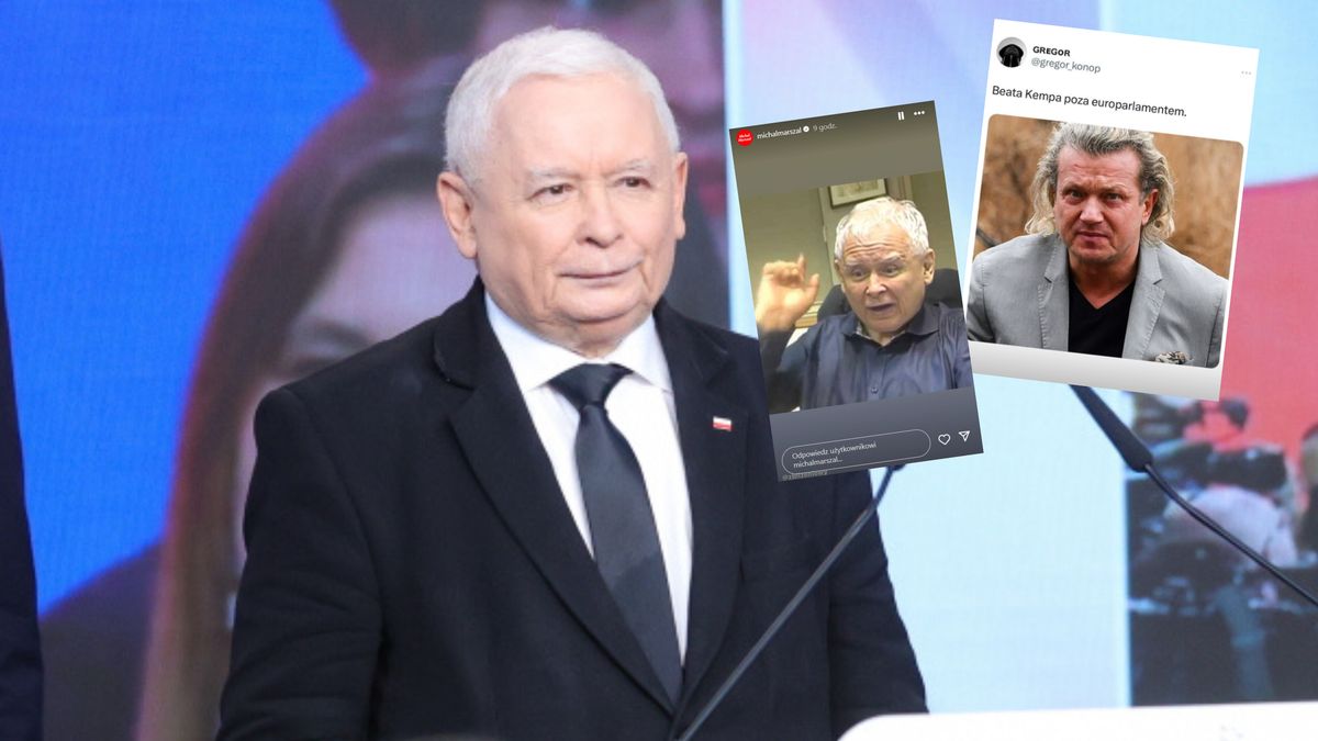 Memy po wyborach do Parlamentu Europejskiego