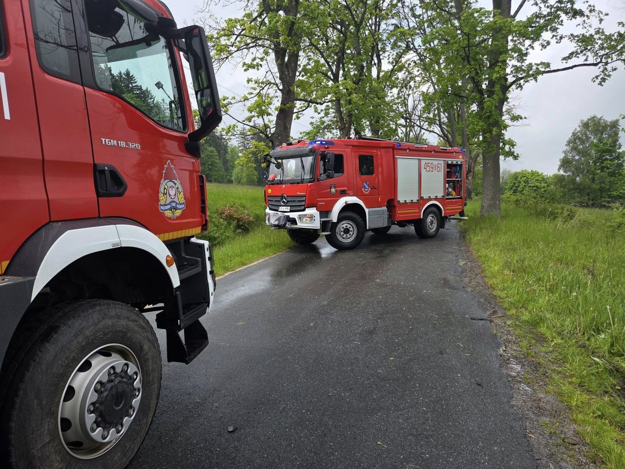 Fot. Licencjodawca. Auto z 5 osobami uderzyło w drzewo