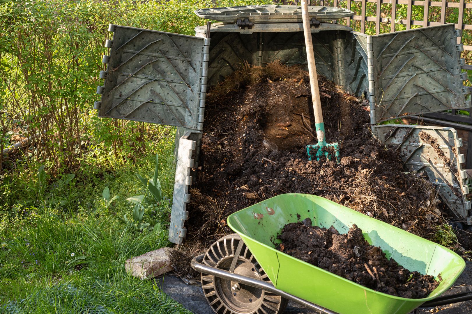 Dorzuć do kompostu. Efekty wywołają zazdrość w sąsiadach