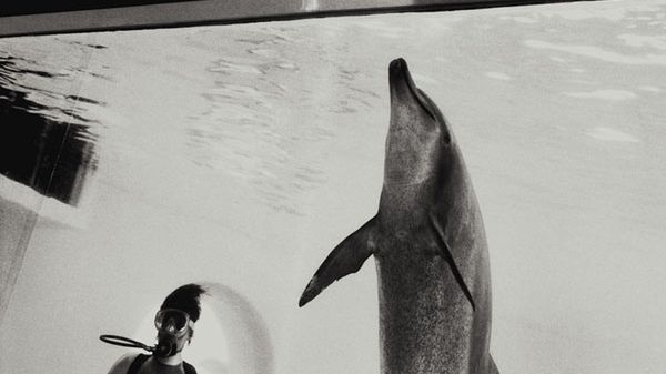 W skrócie: Tomasz Gudzowaty ocenia portfolio, „Blue” w Krakowie, Kishin Shinoyama w Katowicach 1