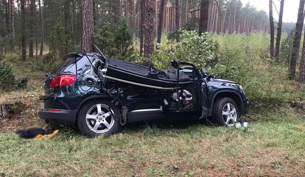 W Volkswagena uderzyło złamane drzewo