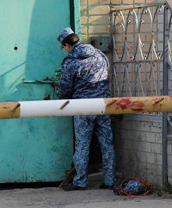 Zdumiewający apel przestępców w Rosji. "Masa złodziei" zabrała głos