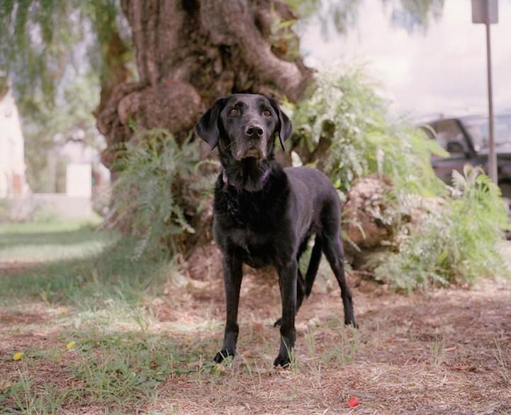 Abigail — Ojai, CA