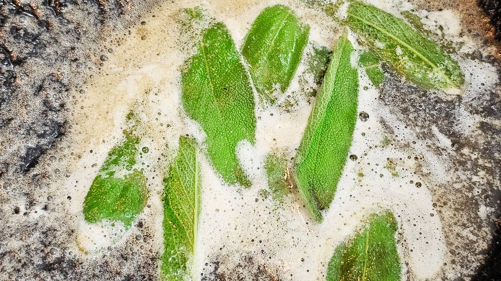 Wieloletnie zioła i przyprawy do ogrodu. Wzbogacą kuchnię i domową apteczkę