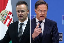 Węgierski minister wściekły na szefa NATO. "Wbił nóż w plecy"