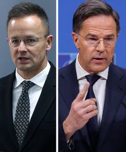 Węgierski minister wściekły na szefa NATO. "Wbił nóż w plecy"