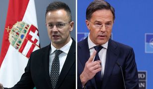 Węgierski minister wściekły na szefa NATO. "Wbił nóż w plecy"