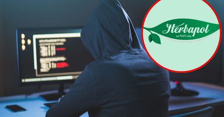 Cyberatak na Herbapol Lublin i blisko milion dolarów okupu. "Prowadzimy postępowanie"
