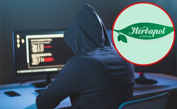 Cyberatak na Herbapol Lublin i blisko milion dolarów okupu. "Prowadzimy postępowanie"