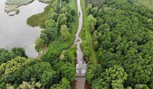 Barycz. Woda ze Stawów Milickich wspomoże oczyszczanie rzeki