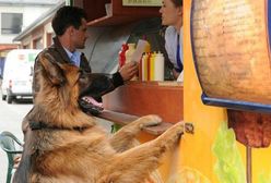 "Komisarz Alex": Lucyna na randce z Orliczem, a Alex z Maliną!