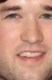 ''Tusk'': Haley Joel Osment szuka przyjaciela-morsa