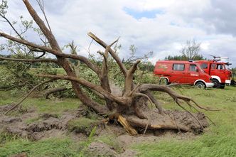 Trąby powietrzne znowu nawiedzą Polskę. Już dzisiaj