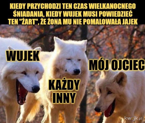Wielkanocne memy, które rozśmieszą cię do łez!