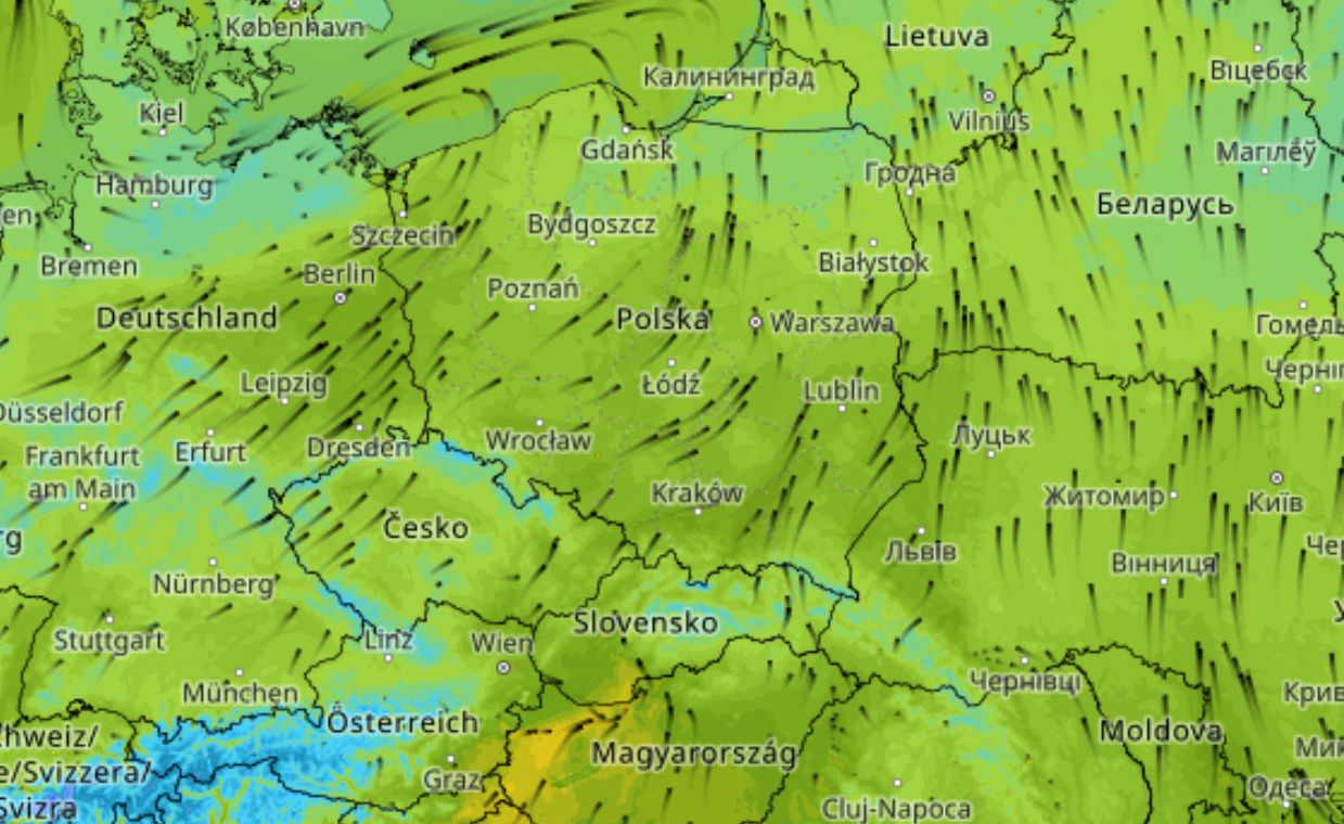 Wiosna w styczniu. Temperatura wystrzeli