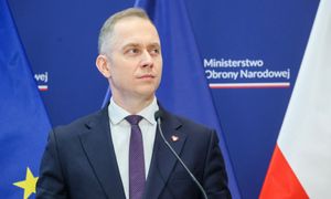 Niemcy chcą kupić polskie Pioruny