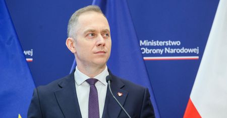 Niemcy chcą kupić polskie Pioruny