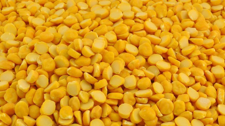 Gotowana nikla indyjska (młode ziarna) bez dodatku soli, odsączona