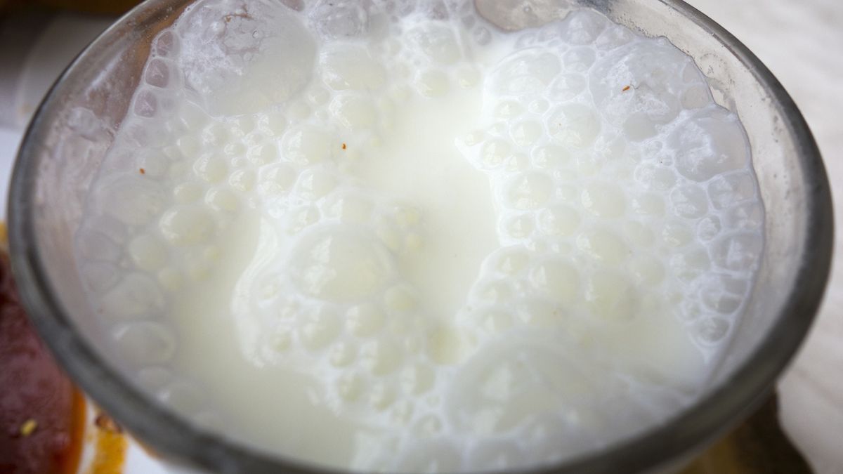 Turkey, Marmaris Area, 2017: View Of Turkish Yoghurt Drink Known As Ayran.
Turkey, Marmaris Area, 2017: View Of Turkish Yoghurt Drink Known As Ayran. Ayran Is Almost As Common As Drinking Water In Traditional Restaurants And The Cost Is Similar. For Instance, In A Traditional (Non Tourist) Eatery The Price For A Plate Of Chicken, Another Filled With Cuscous, Plus An Ayran And Small Bottle Of Drinking Water Was 6 Turkish Lira (1.35 Euro Or About $1.60 USD). It Is Popular In Iran, Turkey, North Caucasus, The Balkans, Afghanistan, Azerbaijan, Armenia, Kazakhstan, Tajikistan, Kyrgyzstan, And Lebanon. It Is Made By Mixing Yoghurt And Chilled Or Iced Water
Kypros
turkey, turkish, inside, close up, cuisine, diet, food and nutrition, world cuisines, ayran, yoghurt, white, doogh, tan yoghurt, savoury, beverage, yogurt drink, cold, traditional, middle eastern, armenia, lebanon, dairy products, nonalcoholic, drinks, iranian food, popular, cheap, cold drinks