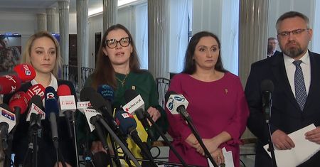 Sprawa rozgrzewa cały Sejm. Teraz proponują referendum