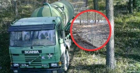 Wjechał do lasu. Wylał wszystko, co miał. Nagrali go fotopułapką