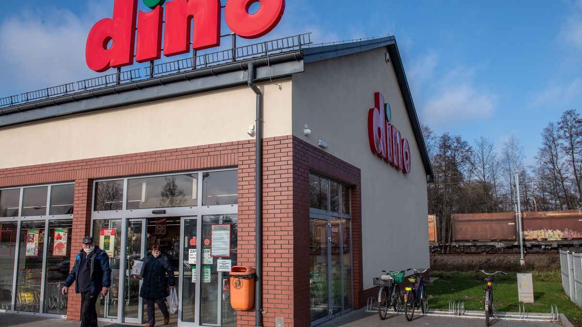 Promocje w Dino
