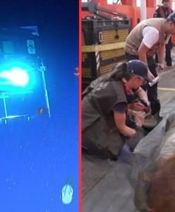 Wydobyli skarb z 300-letniego wraku. Odkrycie z dna Morza Karaibskiego