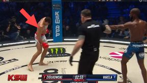 Przykre sceny na KSW. Wszystko widać