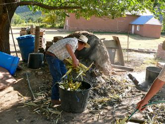 Meksyk gotowy uderzyć w amerykańskich rolników. W wojnie handlowej wykorzysta kukurydzę