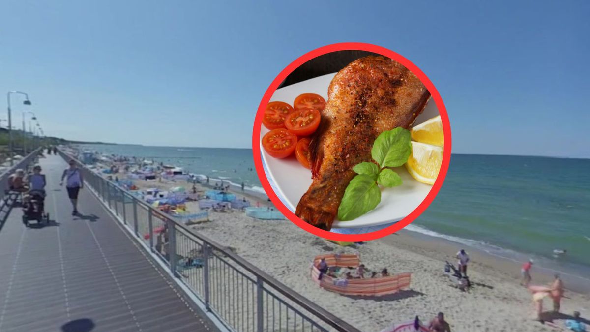 Drogie ryby nad Bałtykiem