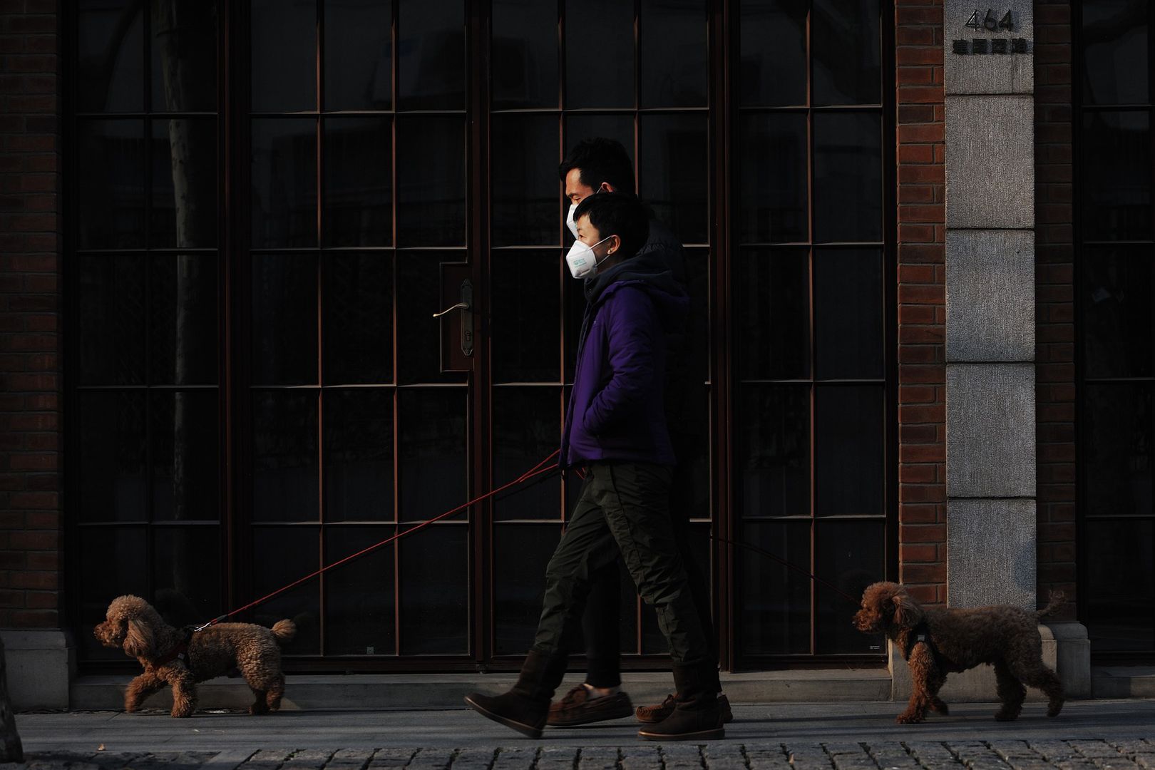 Rośnie liczba zgonów i zakażeń paciorkowcem w Japonii. Naukowcy ostrzegają
