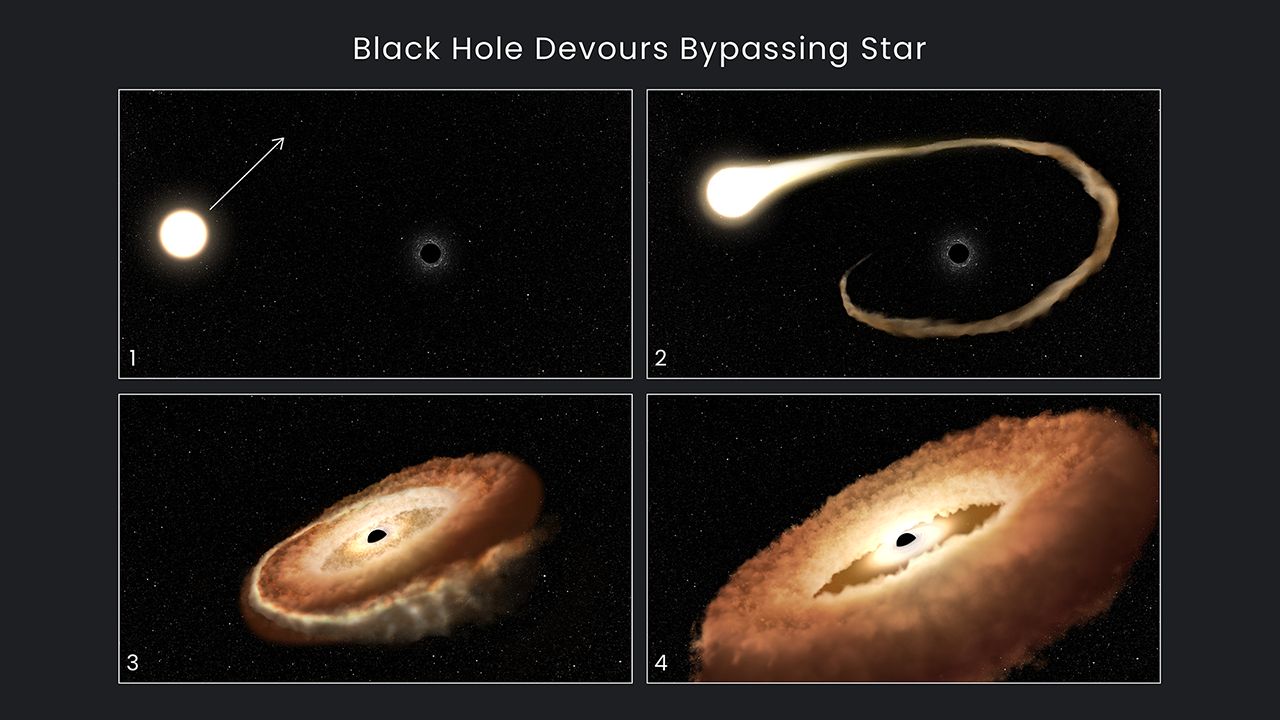 Ilustracja: jak czarna dziura pożera mijającą ją gwiazdę? 1. Gwiazda przelatuje w pobliżu czarnej dziury w centrum galaktyki. 2. Zewnętrzne warstwy gazu gwiazdy są wciągane przez pole grawitacyjne dziury. 3. Gwiazda zostaje rozerwana na strzępy przez potężne siły pływowe. 4. Jej pozostałości są rozpraszane i formują dysk w kształcie pączka wokół czarnej dziury, a ostatecznie stopniowo wpadają do niej, uwalniając przy tym ogromne ilości energii 