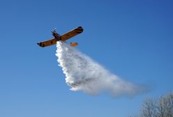 Pożar lasu w Kobyłce. W akcji samolot gaśniczy