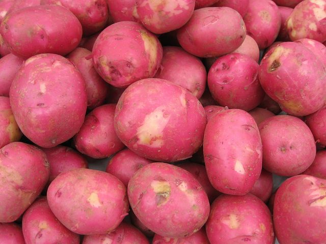 Surowe czerwone ziemniaki ze skórką