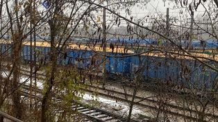 „Tajemnicze wagony z kukurydzą” wyjaśnione. MRiRW: to polskie ziarno, nie import z Ukrainy